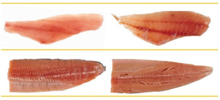 Illustration for article titled The fish you're eating might not actually be the fish you think